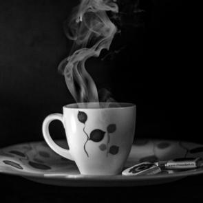 ����: ������ ����...