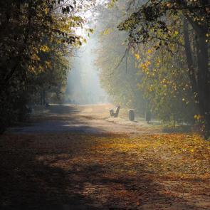 ���� ��������: ������� ������