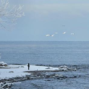 ����: ������ ������