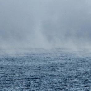 ����: ������� ������ ������ �������