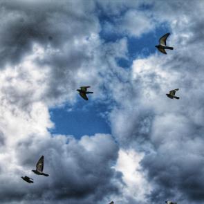 ����: ���� � ������