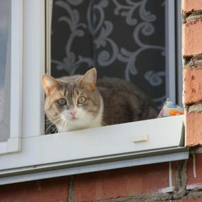 ����: � �� ��� ?!