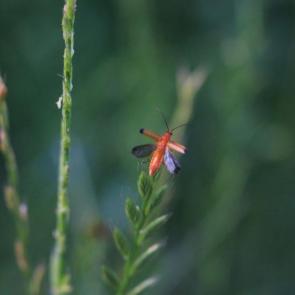 ���� ��������: �� ������