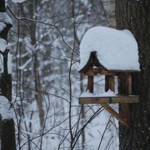 ����: � �������� ����