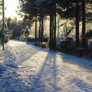 ����: ������ ����