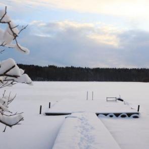 ����: ���������� ����