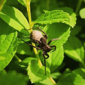 ����: ����-����