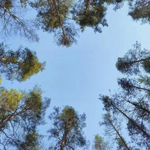 ����: � ����