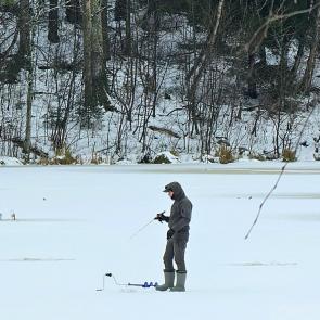 ����: ������ �������