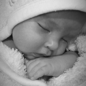 ����: ���� �������� �������, ����� ����