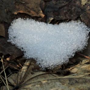 ����: ������ ����