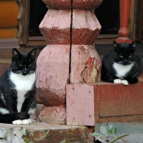 ����: ���� � ����