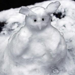 ���������� �� ���� ����