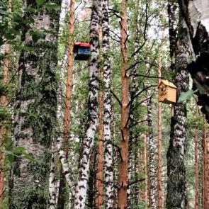 ���������� ������� �������