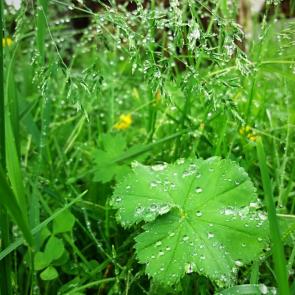 �������������� ���������������