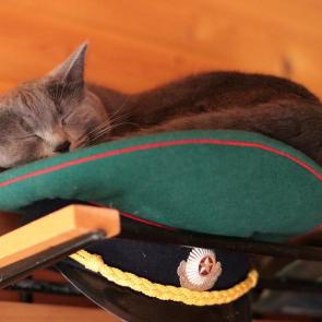 ����: ������� �� �����