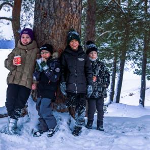 ����: ������