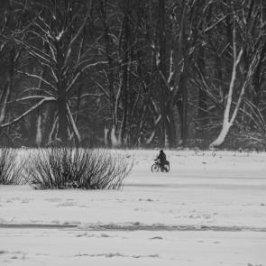 ���� ��������: 