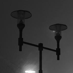 ���� ��������: 