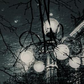 ���� ��������: 