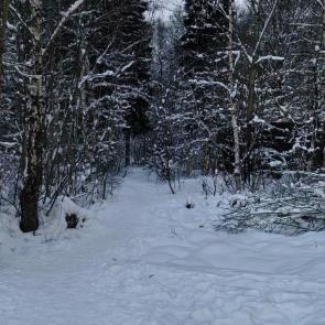 ����: �������� ����