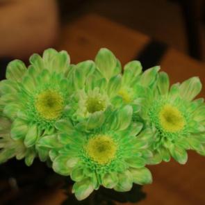 �������������