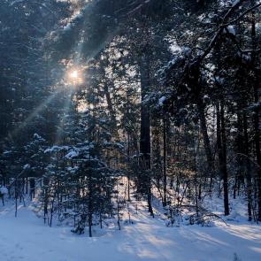 ����: �������� �� ��������