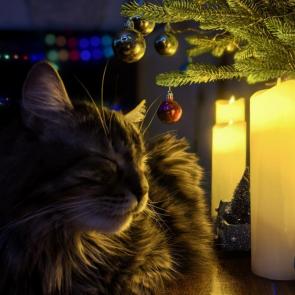 ����: ������ ������ �����