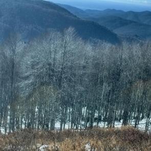 ����: ������ ����� ��� �����