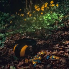 ����: �������� � ������� � ������� 2