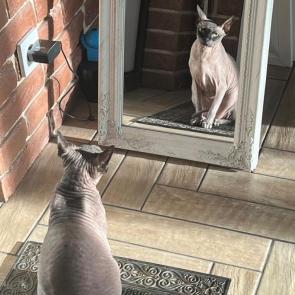 ����: ���� ��� ��������� �����...