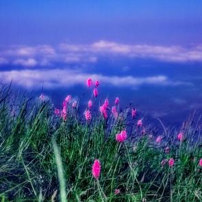 ����: ���� � �������� ������� ���� 5