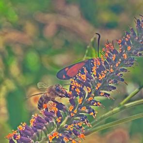 ����: ����� � ������� ����� ������ 2