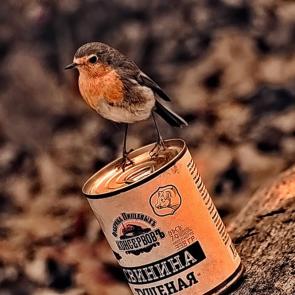 ����: ������� ������ � ������� 338 ������� 5