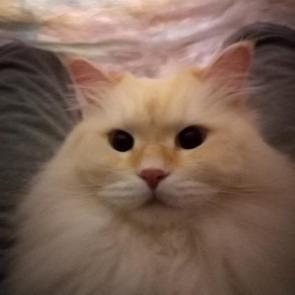 ����: ���-�� ������ � �����