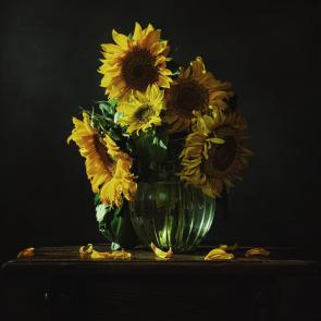 ����: ���������� 