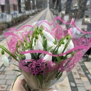 ����: �����������