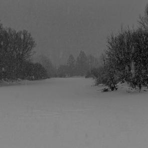 ���� ��������: ������� ������