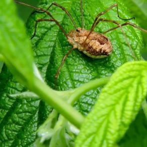 ����: ��������� ������������