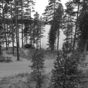 � ����������� �����