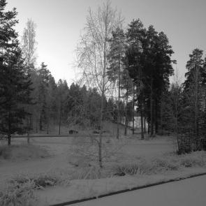 ���� ��������: ��������