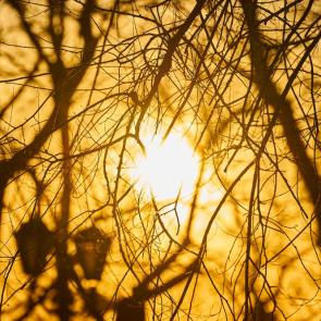 ����: � ����� �����