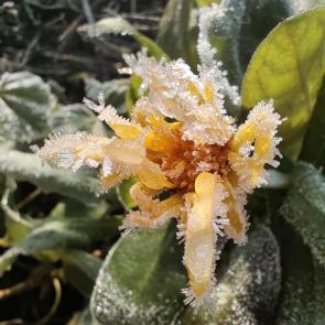 ����: � �������� ����