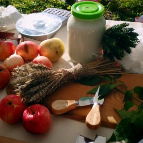 ����: ���� �������