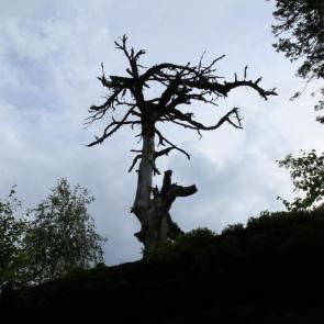 ����: ������ ������ �� �����