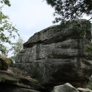 ����: �������� �������