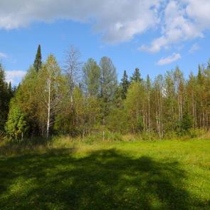 ����: ������ ������