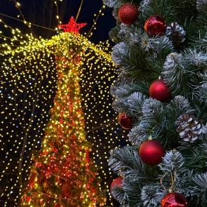 ����: ����� ���