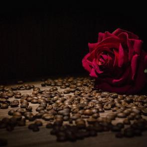 ����: �������� ��������