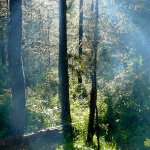 ����: ���� � ����